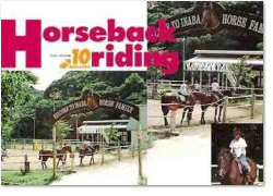 horse